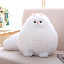 While referring to pictures of fluffy kittens images. Soft White Fluffy Persian Cat Plush Toy Catshopheaven