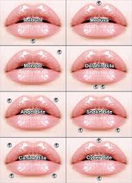 Lip Piercing Names Face Piercings Ashley Piercing Piercings