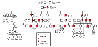 European Hemophilia Family Tree Queen Victoria Family