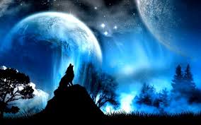 Fantasy wolf wallpapers we have about (327) wallpapers in (1/11) pages. Fantasy Wallpaper Wolf Wolf Wallpaper Wolf Background Wolf Pictures