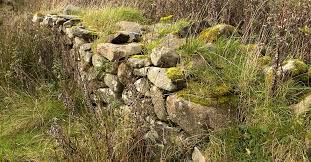 Dry Stone Walls And Conservation Tcv
