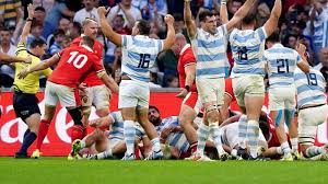 wales 17 29 argentina match report