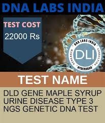 dld gene maple syrup urine disease