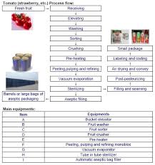 Process Flow Chart Of Selected Fruits Source Kingpak En