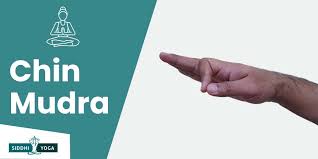 chin mudra meaning benefits how to