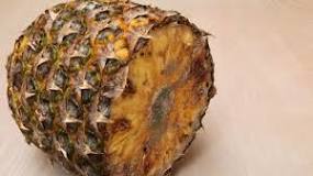 What is the white stuff on pineapple?