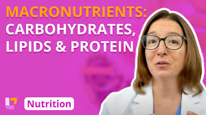 macronutrients carbohydrates lipids