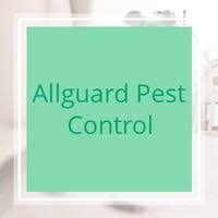 Последние твиты от largo pest control (@largopestco). 10 Best Pest Control Services In Largo Fl Exterminators