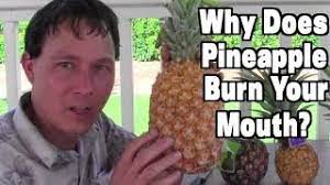 pineapple mouth burn forever