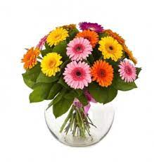 Send flowers to italy from canada. Flowers To Italy Send Flowers To Italy By Local Florists