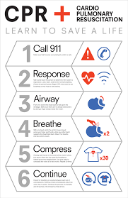 Cpr Chart On Behance