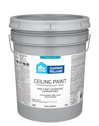 flat white ceiling paint and primer