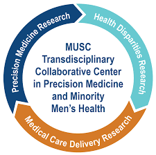 Transdisciplinary Collaborative Center In Precision Medicine