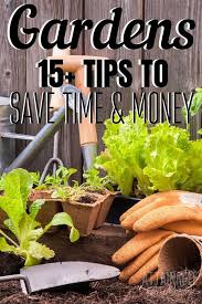 vegetable gardening tips to save you