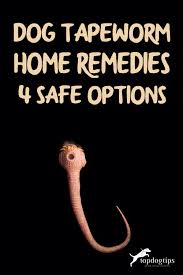 dog tapeworm home remes 4 safe