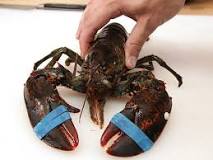 Is half a lobster enough for one person?