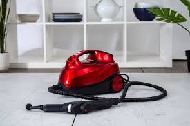 the 8 best steam cleaners of 2024