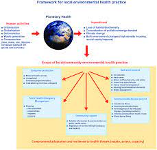 local environmental health practice