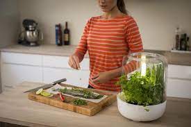 fiskars kitchengarden basic bol