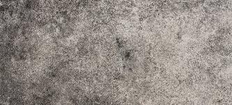 How To Remove Mold From Concrete Floors