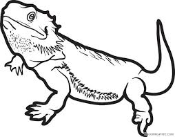 Free, printable coloring pages for adults that are not only fun but extremely relaxing. Lizard Coloring Pages Bearded Dragon Coloring4free Coloring4free Com