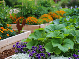 vegetable gardening in a small space