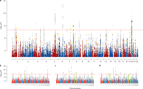Identification Of Common Genetic Risk Variants For Autism