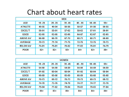 Blood Pressure Heart Rate What Is It The Force The Heart