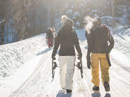 top 8 ann arbor winter activities and