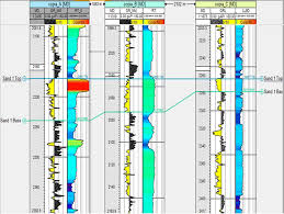 Evaluation Of Seismic And Petrophysical Parameters For