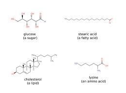 small molecules metabolomics