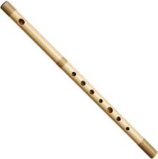 Amazon.com: Plastic Japanese Shinobue Flute 8, Key of C : Musical  Instruments
