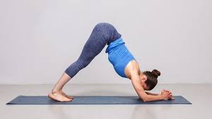 We did not find results for: Top 5 Yoga Poses For Strong Arms