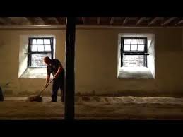 floor maltings barley process in the