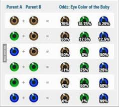 Eye Color Chart July 2015 Babies Forums What To Expect