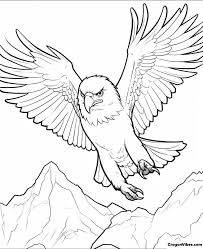bald eagle coloring pages free