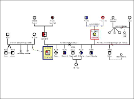 Free Creator Genogram Template Online Meaning In English
