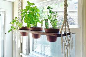 the top 76 indoor herb garden ideas