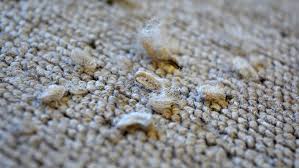 costs to repair worn carpet