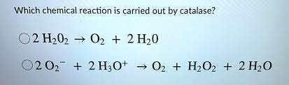 Solved Which Chemical Reaction Is