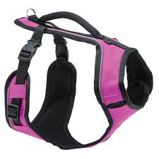 Petsafe Easysport Harness In Pink Large In 2019 Padded
