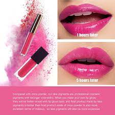 paramiss lip gloss pigment powder
