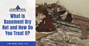 What Is Basement Dry Rot And How Do You