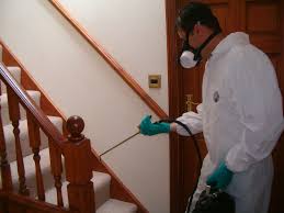tips for before and after pest control