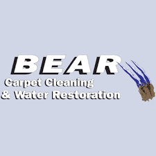 bear carpet cleaning water