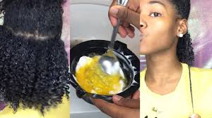 diy natural hair protein treatment