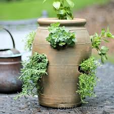 Growing Herbs In A Strawberry Pot For