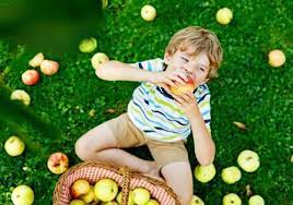 kids activities bloomington il apple