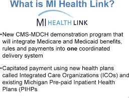 Mi Health Link Integrated Care Dual Eligible Demonstration