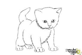 how to draw a kitten step by step